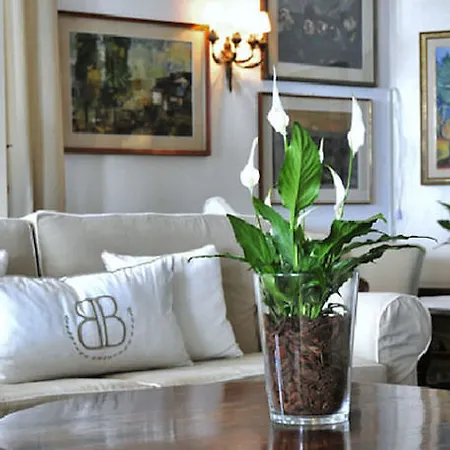 Byron Bellavista Hotel 4*